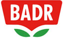 بدر